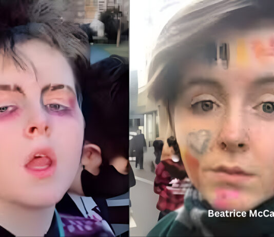 Analysing the Story of Beatrice McCartney, the Youngest Daughter of Paul McCartney Beatrice McCartney