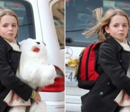 Behind the Scenes: Beatrice McCartney Beatrice McCartney