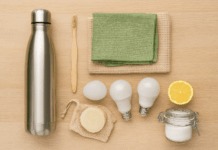 10 Eco-Friendly Swaps to Make Your Home More Sustainable Home