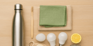 10 Eco-Friendly Swaps to Make Your Home More Sustainable Home