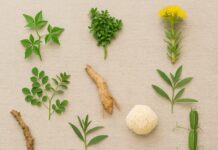 10 Surprising Health Benefits of Rare Herbs Supported by New Science rare herbs
