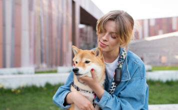 The Doge HHS Migrant Housing Contract: An Overview Doge HHS Migrant