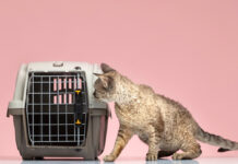 Overview of the Draupadi Weather-Resistant Universal Animal Cage, Measuring 96 x 96 Draupadi Weather-Resistant