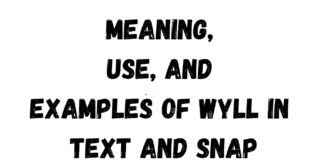 Meaning, Use, and Examples of WYLL in Text and Snap Examples of WYLL