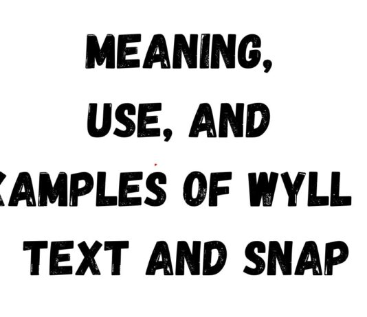 Meaning, Use, and Examples of WYLL in Text and Snap Examples of WYLL