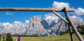 A Definition & Classification of Fab Swing Fab Swing