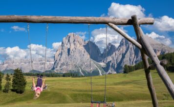 A Definition & Classification of Fab Swing Fab Swing