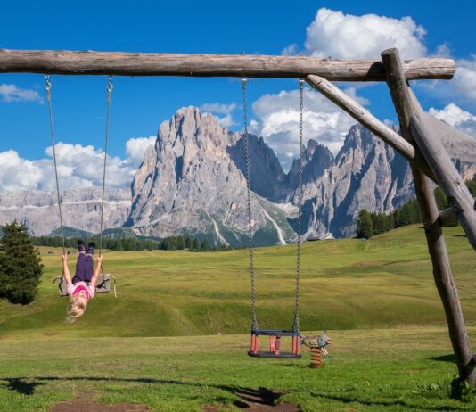 A Definition & Classification of Fab Swing Fab Swing