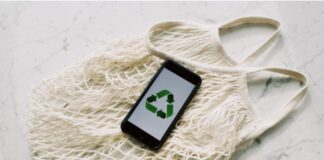 Sustainable Investing: Aligning Financial Goals with Environmental Values Financial Goals with Environmental