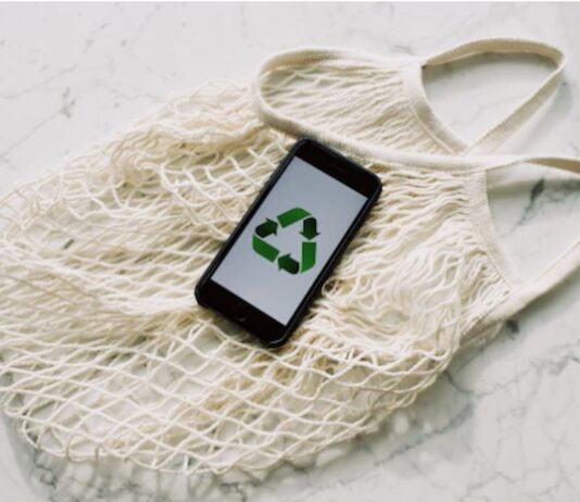 Sustainable Investing: Aligning Financial Goals with Environmental Values Financial Goals with Environmental