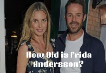 How Old is Frida Andersson? What is Her Story? Frida Andersson