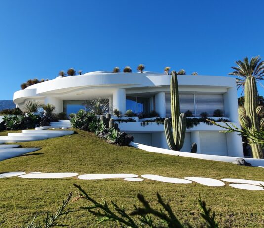 How to Choose the Perfect Landscaping Edging for Your Backyard How to Choose the Perfect Landscaping