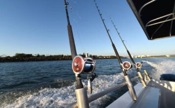 How To Choose The Right Fishing Charter For Your Tampa Bay Trip fishing charter