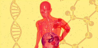 Are Your Inhalation Studies Human-Relevant? A Look at New Standards in Toxicology Testing Inhalation Studies