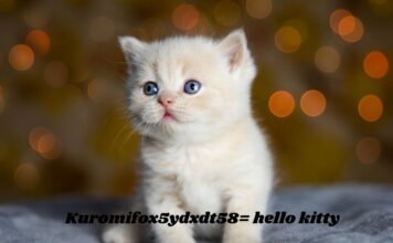 Putting the puzzle together: Kuromi:fox5ydxdt58= hello kitty Kuromifox5ydxdt58= hello kitty