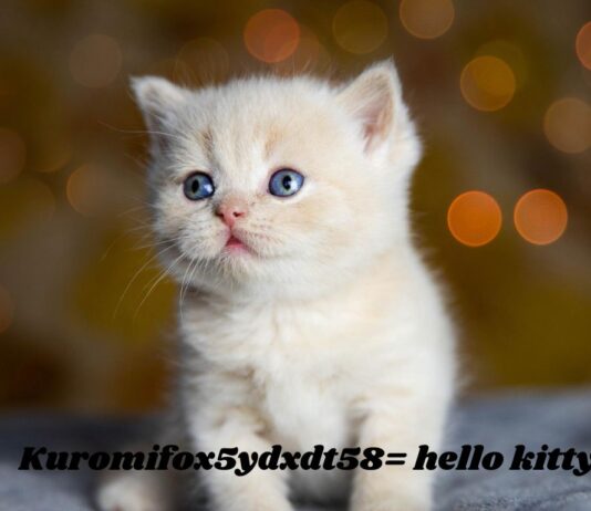 Putting the puzzle together: Kuromi:fox5ydxdt58= hello kitty Kuromifox5ydxdt58= hello kitty