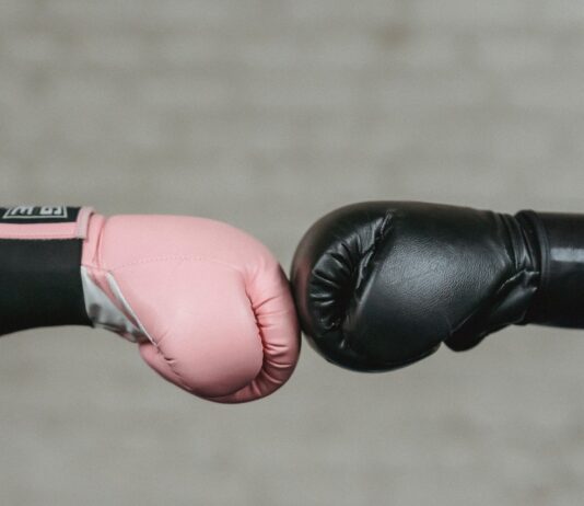 Features, Benefits, Costs, and Review Of The Liteboxer Fitness Bundle Liteboxer Fitness Bundle