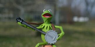 How Best to Prepare for Your Music Lessons as a Banjo Beginner Music Lessons as a Banjo Beginner