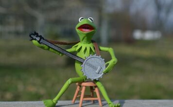 How Best to Prepare for Your Music Lessons as a Banjo Beginner Music Lessons as a Banjo Beginner