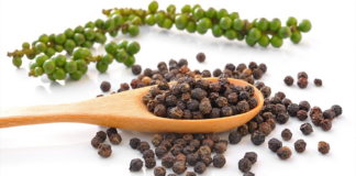 PIPERENS: FOR SPICE, HEALTH, AND MORE PIPERENS