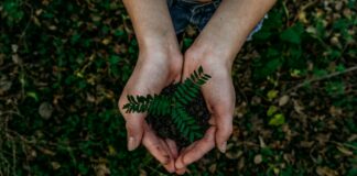 Simple Changes to Make Your Takeaway Food Business More Eco-Friendly takeaway food business