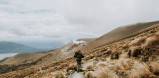 From Trail to Travel: Why Technical Base Layers Belong in Every Bag Trail to Travel