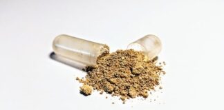 What Is The Difference Between KSM-66 And Ashwagandha? Difference Between KSM-66 And Ashwagandha