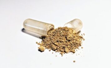 What Is The Difference Between KSM-66 And Ashwagandha? Difference Between KSM-66 And Ashwagandha