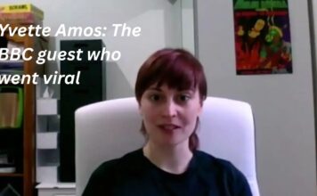 Yvette Amos: The BBC guest who went viral and made an awkward moment last forever