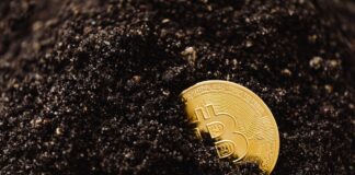 Checking into the Pros and Cons of $AOE300X: An In-Depth Analysis $aoe300x