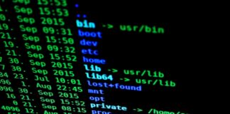 The Enigma Code: Solving The Curious Case Of /lgzwjwiz2oe lgzwjwiz2oe