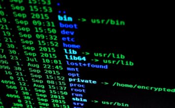 The Enigma Code: Solving The Curious Case Of /lgzwjwiz2oe lgzwjwiz2oe