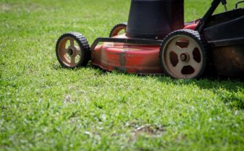 The Mexican Lawnmower: A Fun Challenge For Urban Dictionary