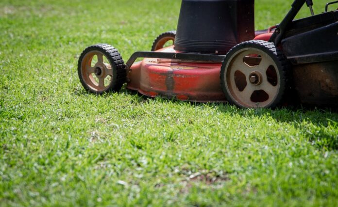 mexican lawnmower